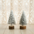 Mini Snow dusted Christmas tree (Set of 2)